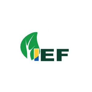 IEF